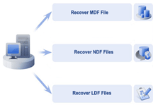 SQL Recovery